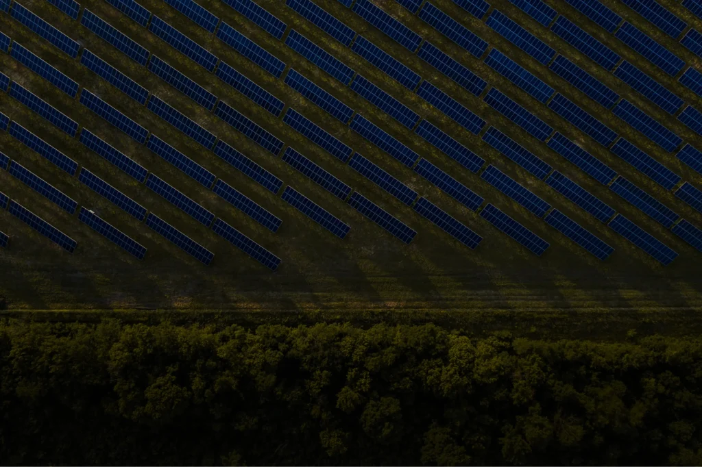 Aerial view of rows of solar panels installed on grass, casting long shadows, with a dense line of trees at the bottom of the image.