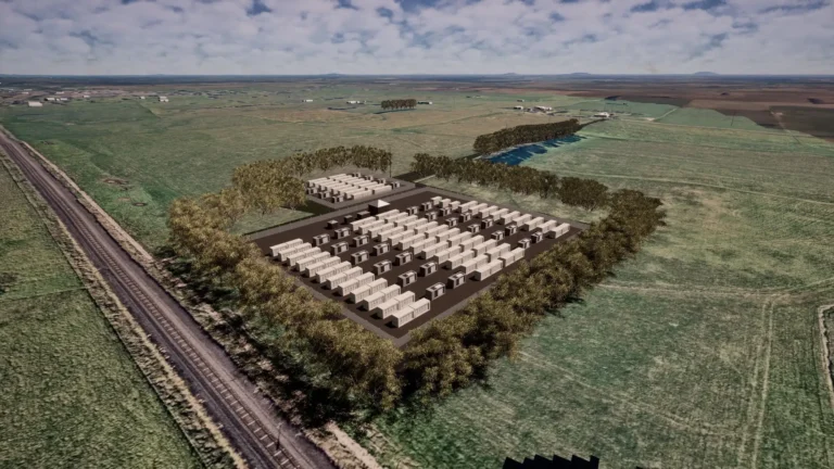 Camperdown bess image